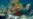 Belize Triples Protected Marine Area, Environmental Group Says