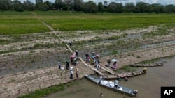 Miembros de la comunidad indígena ticuna reciben ayuda de una ONG ante la sequía que se registra a lo largo del río Amazonas en Santa Sofía, en las afueras de Leticia, Colombia, el domingo 20 de octubre de 2024. 