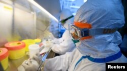 Workers in protective suits conduct RNA tests on specimens inside a laboratory at a centre for disease control and prevention, as the country is hit by an outbreak of the novel coronavirus, in Taiyuan, Shanxi province, China February 14, 2020…