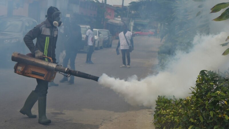 Climate Change May Affect Dengue and Malaria Disease Risks