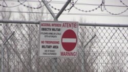 Key NATO Base in Europe Threatened by Sheep