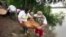 Thousands of Baby Turtles Released in Peruvian Jungle