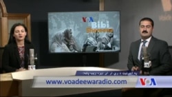 بي بي شیرینه – د ډیوه ریډیو په ټی وي خپرونه