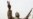 Libyan Opposition Claims Gain Amid Military Onslaught