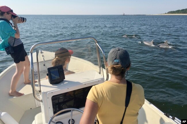 In this 2016 photo provided by the Potomac-Chesapeake Dolphin Project, Janet Mann and Ann-Marie Jacoby observe dolphins in the Potomac River between Lewisetta and Smith Point, Va. (Madison Miketa/Potomac-Chesapeake Dolphin Project via AP)