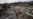 Fireworks Blast Kills 14 in Central Mexico
