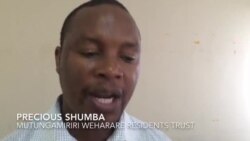 Mutungamiri weHarare Residents Trust, VaPrecious Shumba, Vachitaura