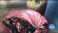 Baalli Kanaabis Dire Dhawaatti Baramaa Dhifuun Rakkoo Uumaa Jira Jedhame