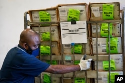 Florida eyaletinin Miami kentinde bir posta çalışanı, seçmen adreslerine ulaştırılacak oy pusulalarını dağıtıma götürüyor.