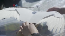 Ilmuwan AS Ciptakan Robot Merpati yang Terbang Seperti Burung