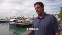 夏威夷渔民对中国扩大捕鱼活动表示担忧