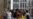 Belgium COVID Numbers Decline
