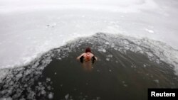 Seorang perenang es dari klub tradisional 'Berliner Seehunde' (anjing laut Berlin) berenang di air dingin danau Oranke di distrik Alt-Hohenschoenhausen di Berlin timur. (Foto: Reuters)