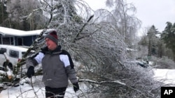 People walk by a collapsed tree in Lake Oswego, Ore., Feb. 13, 2021. The tree fell during an ice and snowstorm that left hundreds of thousands of people without power and disrupted travel across the Pacific Northwest.