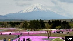 日本旅遊點之一富士山。