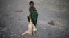 FILE - A boy carries a carcass of a goat in a village near Loiyangalani, Kenya, March 21, 2017.