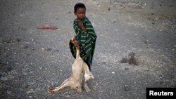 FILE - A boy carries a carcass of a goat in a village near Loiyangalani, Kenya, March 21, 2017.