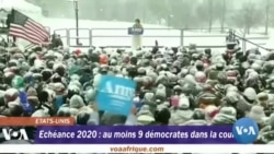 Echéance 2020 : au moins 9 démocrates dans la course