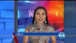 နေ့စဉ် တီဗွီသတင်းလွှာ (၀၄-၀၆-၂၀၂၀) 