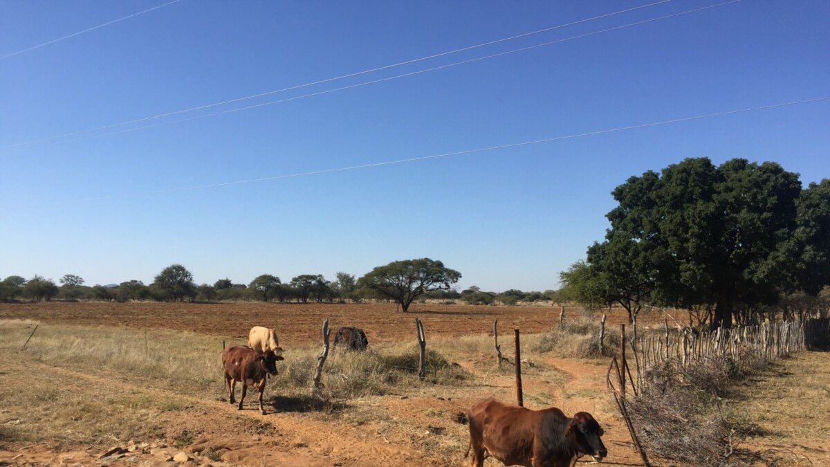 Botswana Offers Start-Up Wildlife Stock to Farmers to Boost Agro-Tourism - Vimarsana News