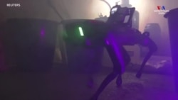 Հոլանդիայում թմրանյութերի գործարանի հետազոտման համար ոստիկաններն օգտագործում են Robodog անվանումով ռոբոտին