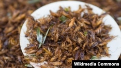 Chingrit thot is a Thai dish of deep-fried crickets. (Wikimedia Commons)