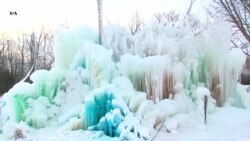 Ледяное дерево