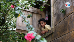 Un niño en la comunidad de Rama Cay, Foto Houston Castillo, VOA