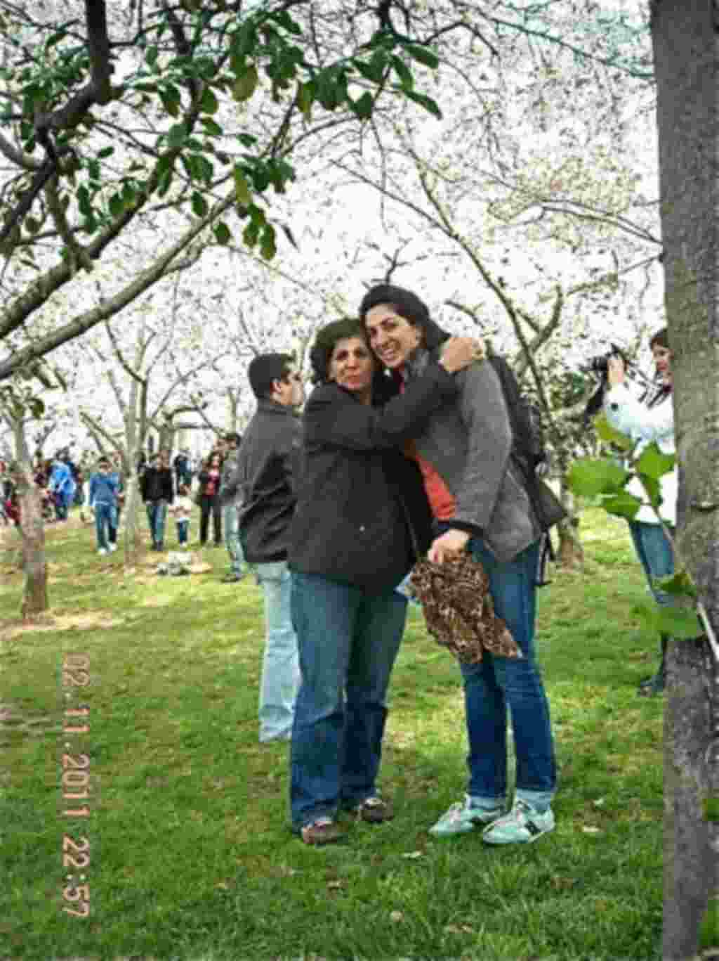 فستیوال شکوفه های گیلاس در واشنگتن ۲۰۱۱