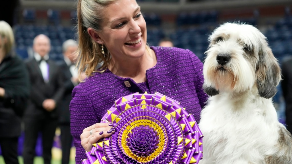 Unusual Hound Wins Top Prize at Biggest US Dog Show