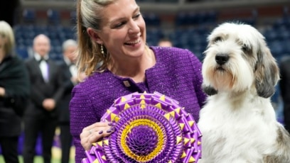 Unusual Hound Wins Top Prize at Biggest US Dog Show