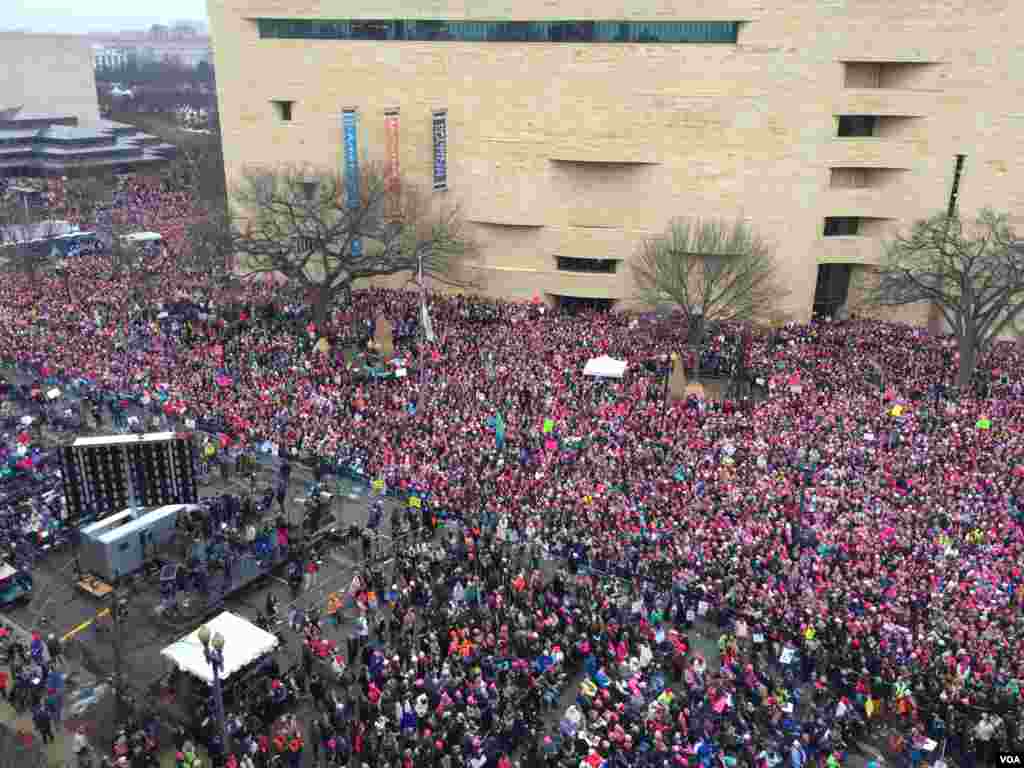 Marcha das Mulheres em Washington DC por direitos iguais. Jan 21, 2017