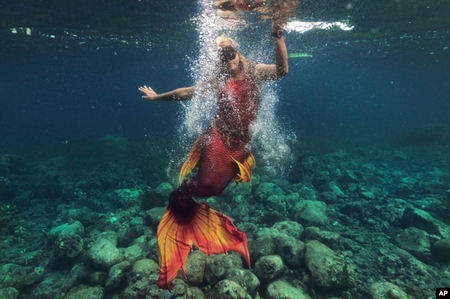 Queen Pangke Tabora swims in her mermaid suit while she conducts a mermaiding class in front of the Ocean Camp in Mabini, Batangas province, Philippines on Sunday, May 22, 2022. (AP Photo/Aaron Favila)