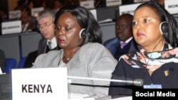 Amina Mohamed, Kenya