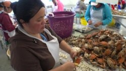 Restricción de visas H2B afectan a la industria del cangrejo