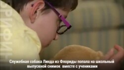 Служебная собака из Флориды учится в классе со своей хозяйкой