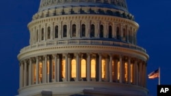 FILE - The Capitol dome is pictured in Washington.