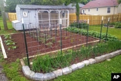 FILE - Sarah Penny's chicken coop and garden in Knoxville, Tennessee, in May 2024.