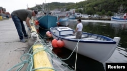 Fisherman Ron Bidgood, helps tie up and secure boats in Petty Harbour-Maddox Cove as Hurricane Larry approaches Newfoundland, Canada on Sept. 10, 2021.