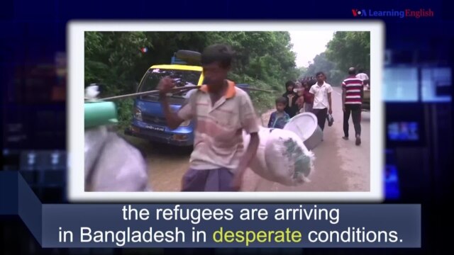 News Words - VOA