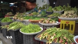 شەشەمین فێستیڤاڵی گیا بەهارییەکان لە هەورامان بەڕێوەدەچێت 