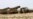 Libya Closes Airspace After UN Approves No-Fly Zone