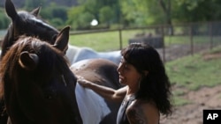 Joanne Cacciatore brushes horse Chemakoh at the Selah Carefarm in Cornville, Ariz., Oct. 4, 2022. 