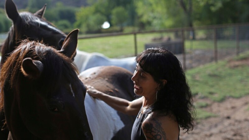 US Farm Gives Refuge from Pain, for Man and Beast Alike