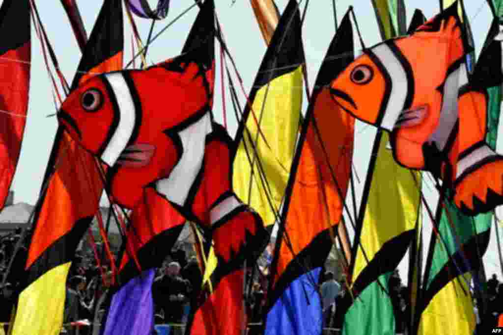 Festivali i Balonave në Uashington