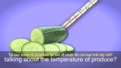 Thành ngữ tiếng Anh thông dụng: Cool as a cucumber (VOA)