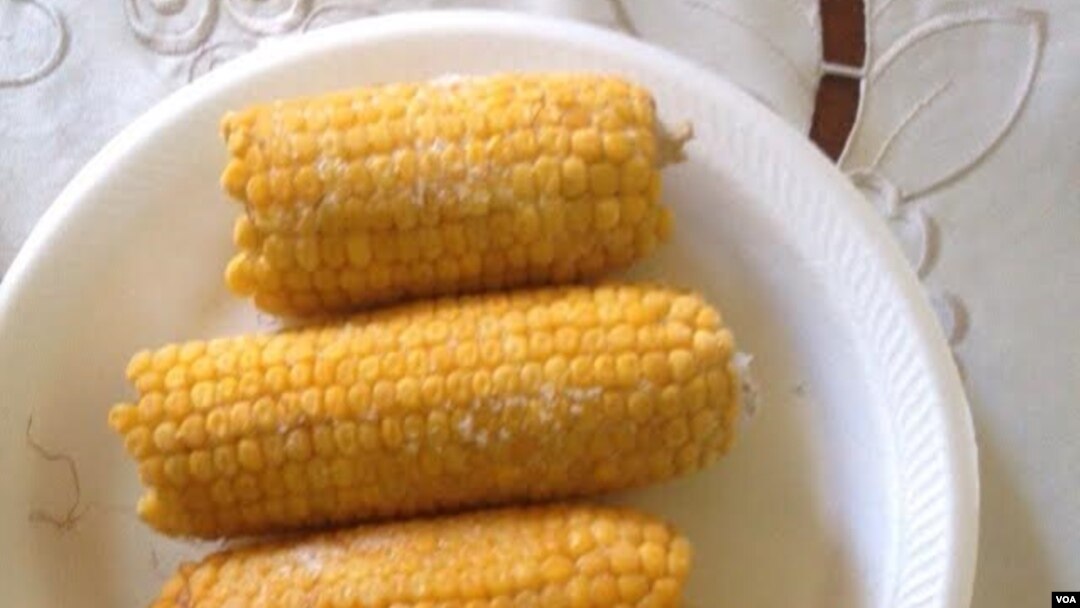 Food kaylites have become an environmental hazard in Zimbabwe. (Photo: VOA)