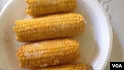 The maize farmer says he hopes to expand his business in the near future to cater for African immigrants. (Photo: VOA)