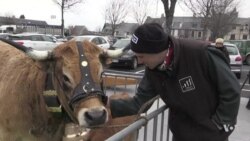 International Agriculture Fair Opens Saturday in Paris