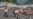 16x9 Image